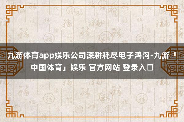 九游体育app娱乐公司深耕耗尽电子鸿沟-九游「中国体育」娱乐 官方网站 登录入口