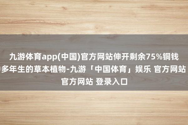九游体育app(中国)官方网站伸开剩余75%铜钱草是一种多年生的草本植物-九游「中国体育」娱乐 官方网站 登录入口