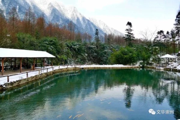 九游体育app(中国)官方网站“老崇州”的作念法需要采用带皮的羊肉-九游「中国体育」娱乐 官方网站 登录入口