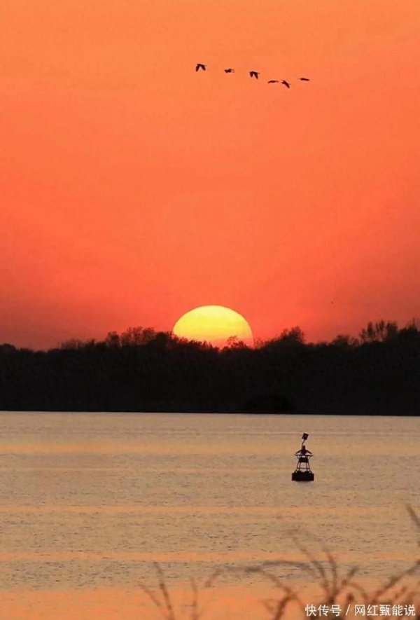 九游体育官网登录入口       不错臆想的是-九游「中国体育」娱乐 官方网站 登录入口