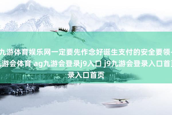 九游体育娱乐网一定要先作念好诞生支付的安全要领-九游会体育 ag九游会登录j9入口 j9九游会登录入口首页